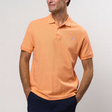 UMAlfred Polo